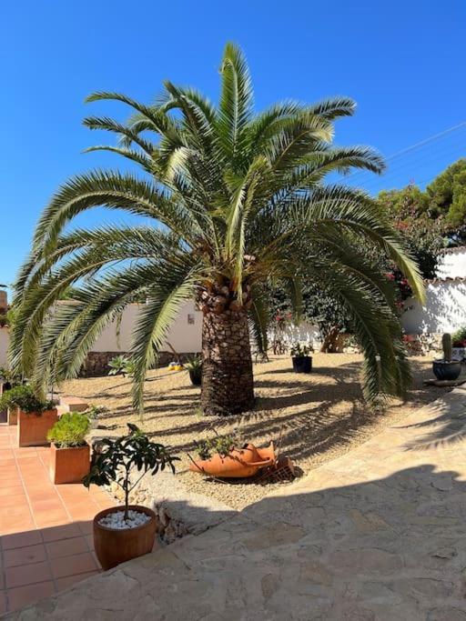 Casa Serenita Charming With Swimming Pool *